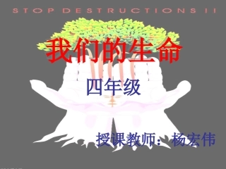 我们的生命课件