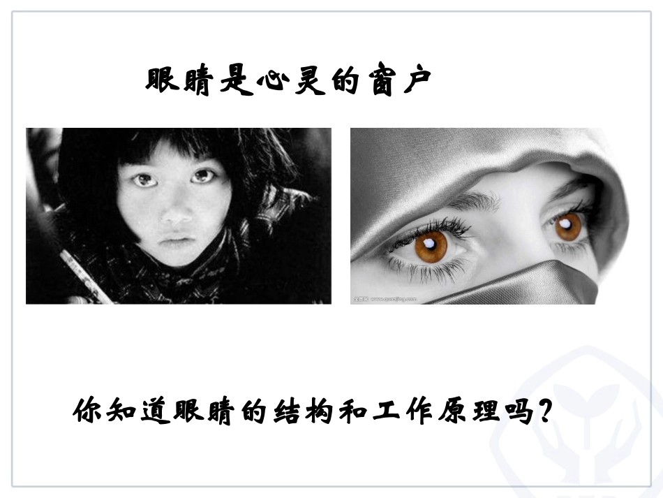 眼镜和眼镜--精品课件_第2页