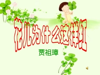 花儿为什么这样红上课版