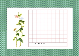 学生书法用纸