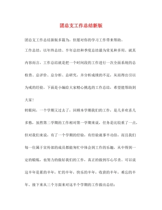 团总支工作总结新版