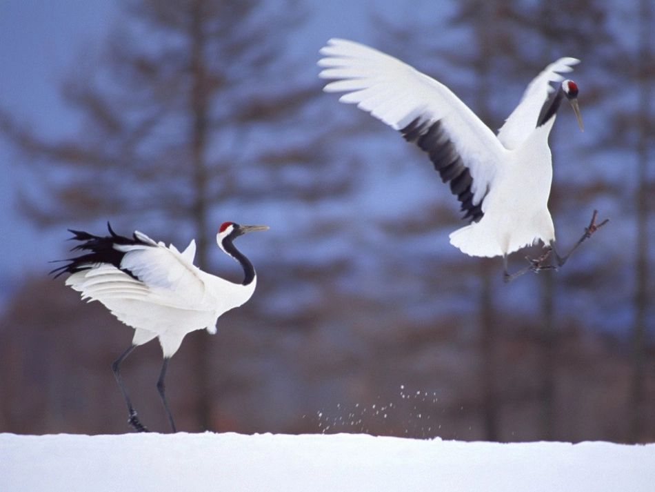 认识公顷 (2)_第2页