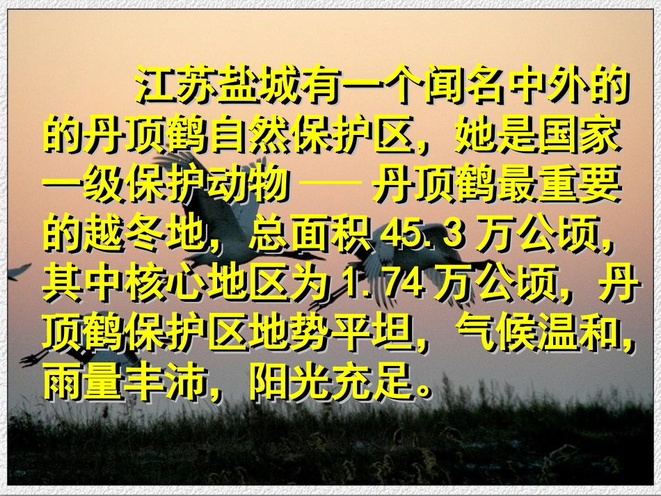 认识公顷 (2)_第3页