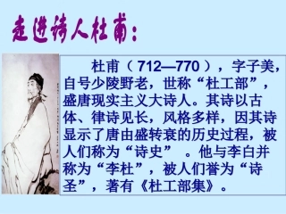 《孤雁》课件