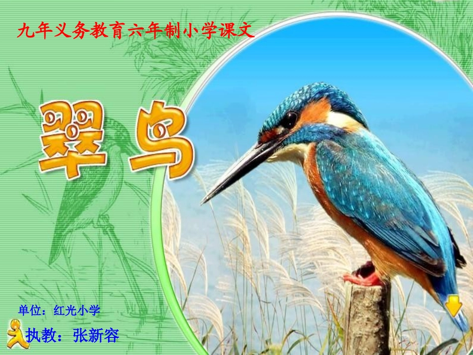 人教新课标三年级语文下册《翠鸟6》PPT课件_第1页