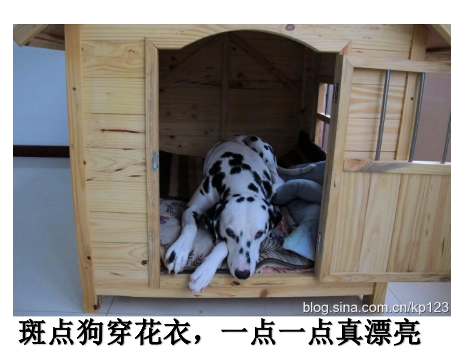演示文稿1 (3)_第2页