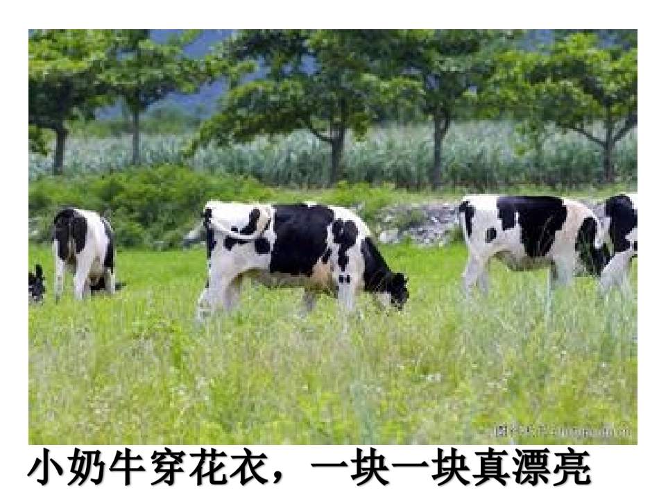 演示文稿1 (3)_第3页