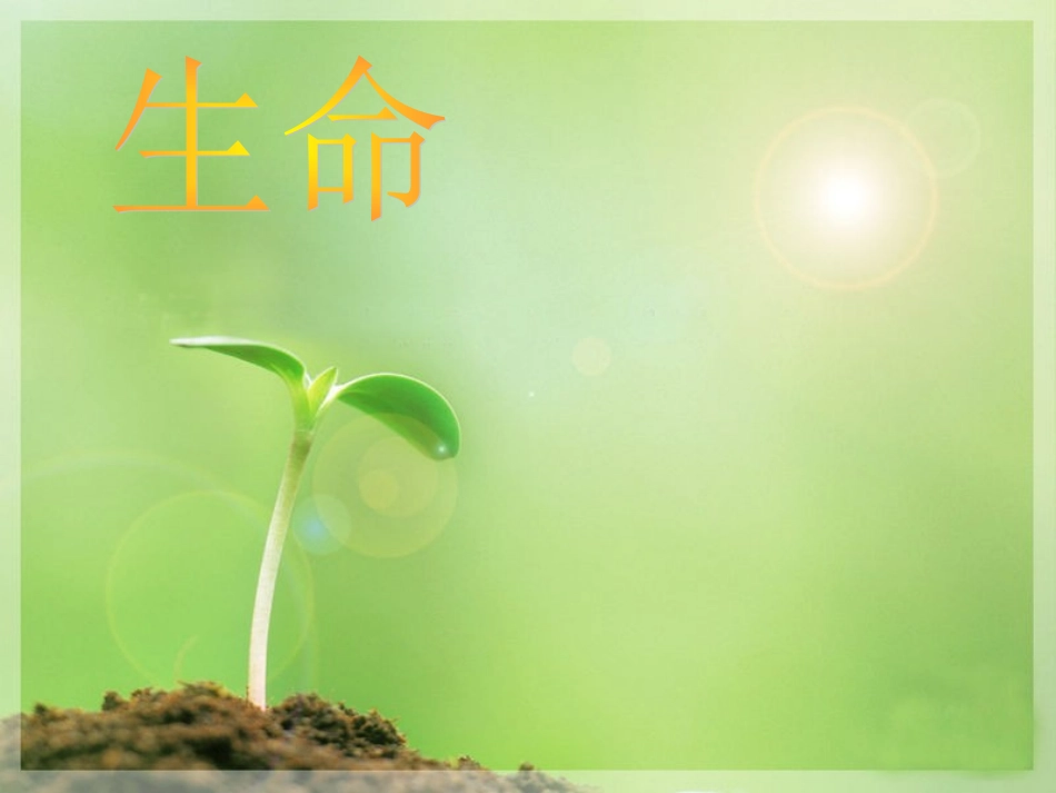 主题班会：安全法律伴我行_第3页
