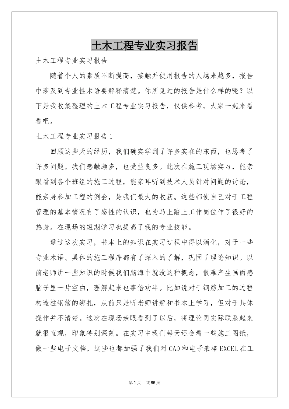 土木工程专业实习报告_第1页