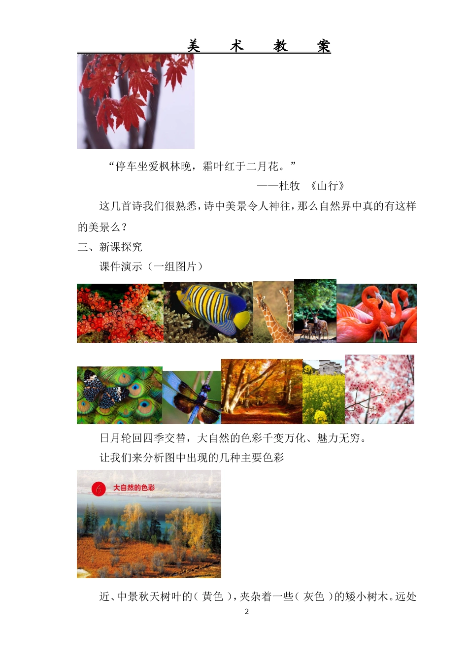 大自然的色彩_第2页