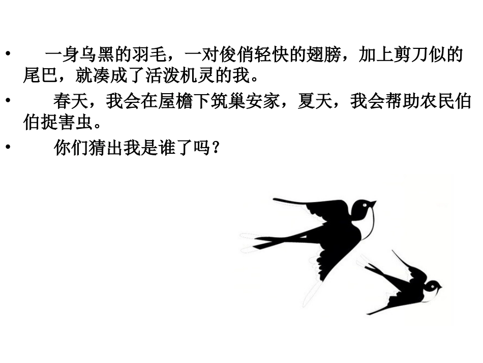 《可爱的动物》演示文稿_第3页
