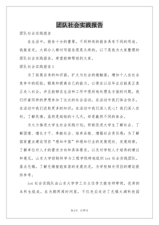 团队社会实践报告