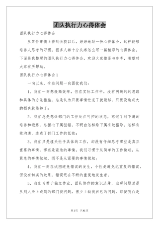 团队执行力体会心得