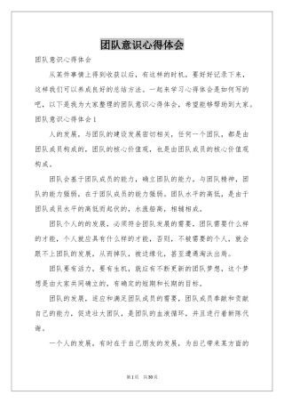 团队意识体会心得