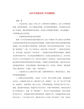 2020年村级未来三年发展规划