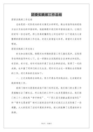 团委实践部工作参考总结