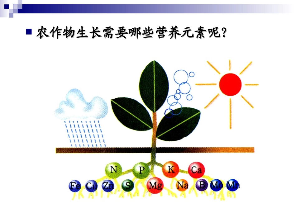 第十一单元_课题2_化学肥料_第3页