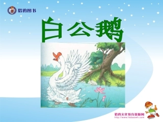 《白公鹅》教学课件