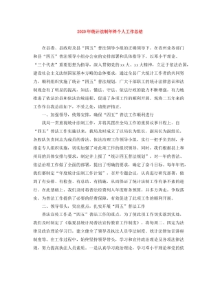 2020年统计法制年终个人工作总结