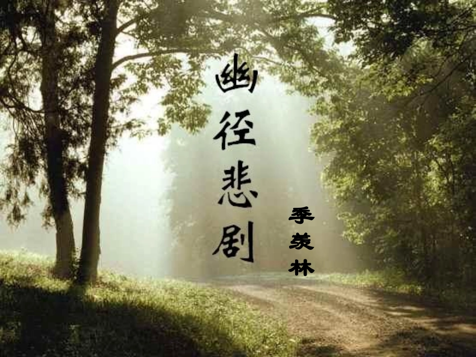 《幽径悲剧》公开课_第1页