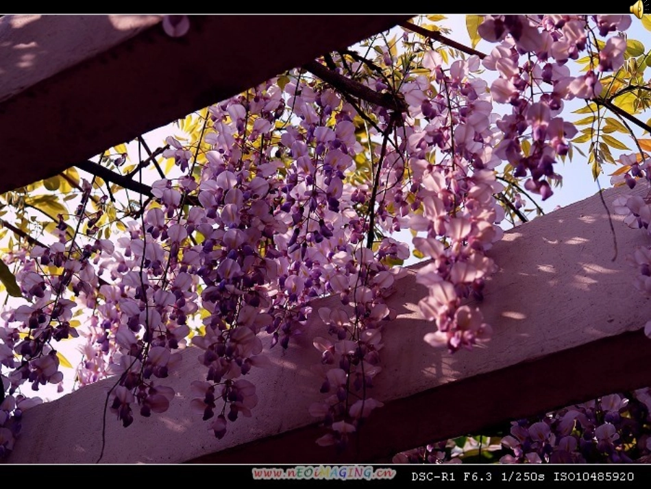 《幽径悲剧》公开课_第3页