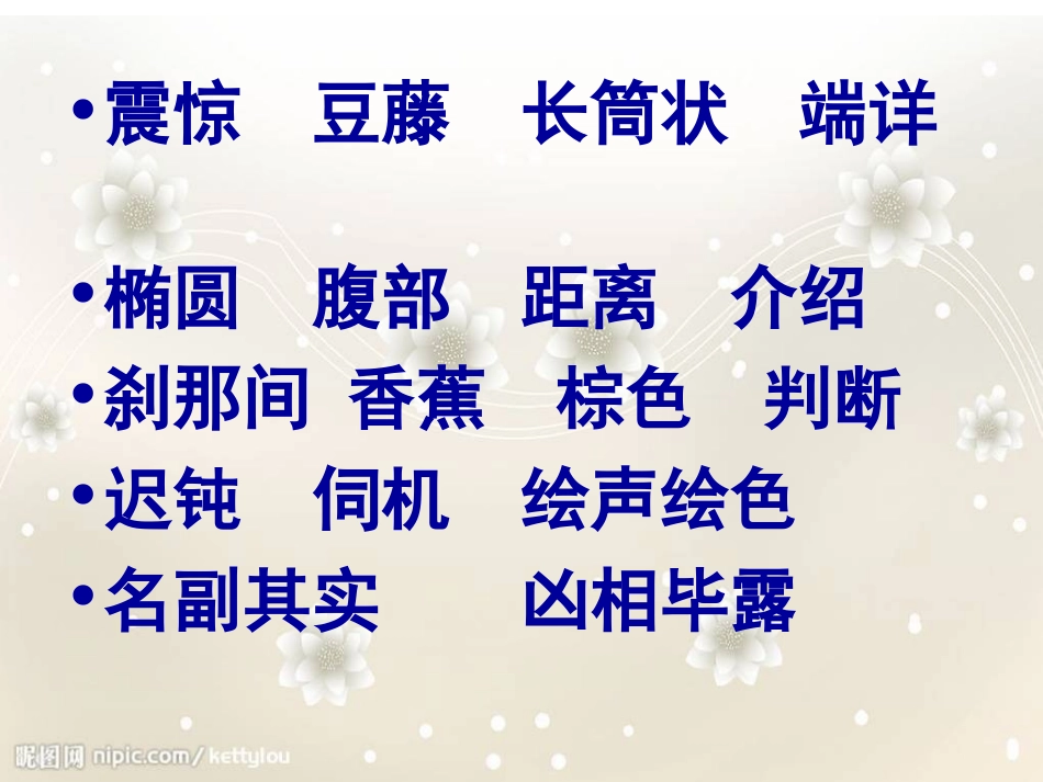 苏教版五年级上册变色龙课件 (2)_第2页