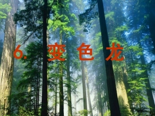 苏教版五年级上册变色龙课件 (2)