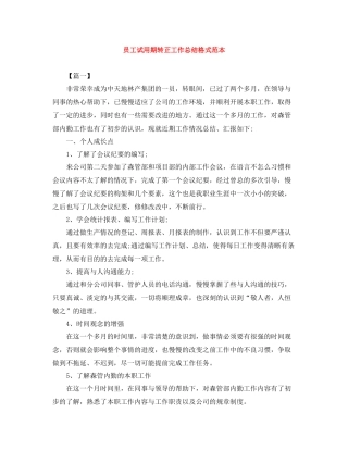 员工试用期转正工作总结格式范本