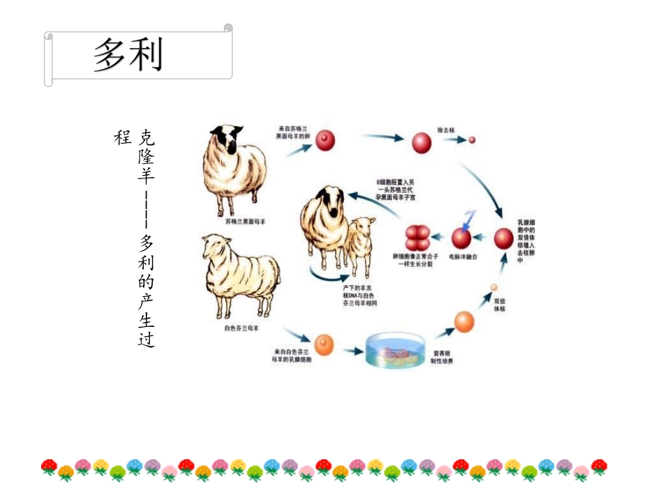 细胞核结构与功能_第1页