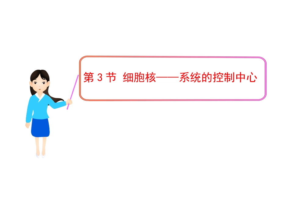 细胞核结构与功能_第2页