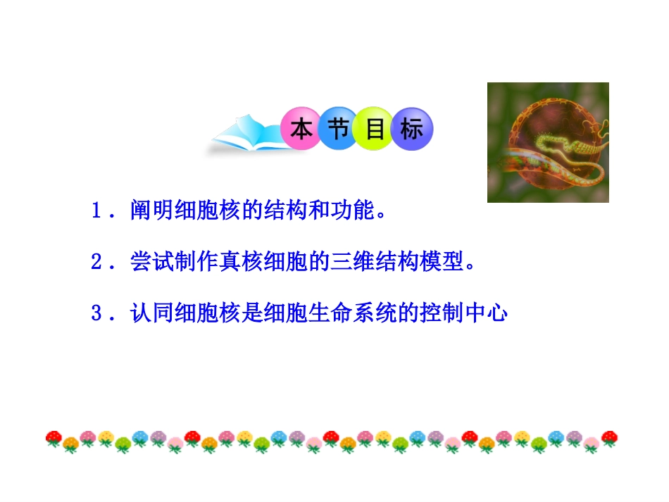细胞核结构与功能_第3页