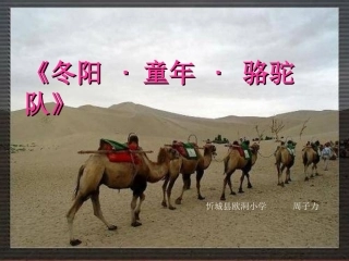 《冬阳·童年·骆驼队》课件（页）