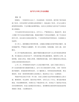 助产护士年终工作总结模板