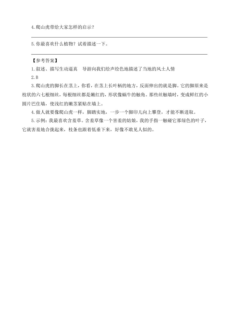 类文阅读-10爬山虎的脚_第3页