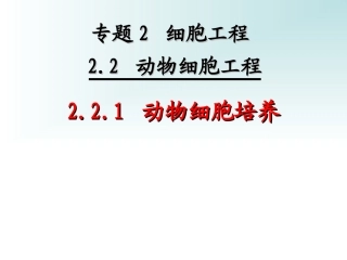第一课时-动物细胞培养