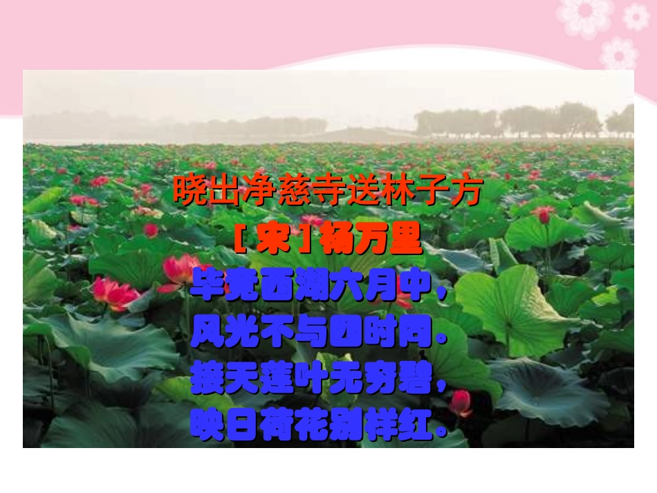 第29课《湖心亭看雪》_第3页