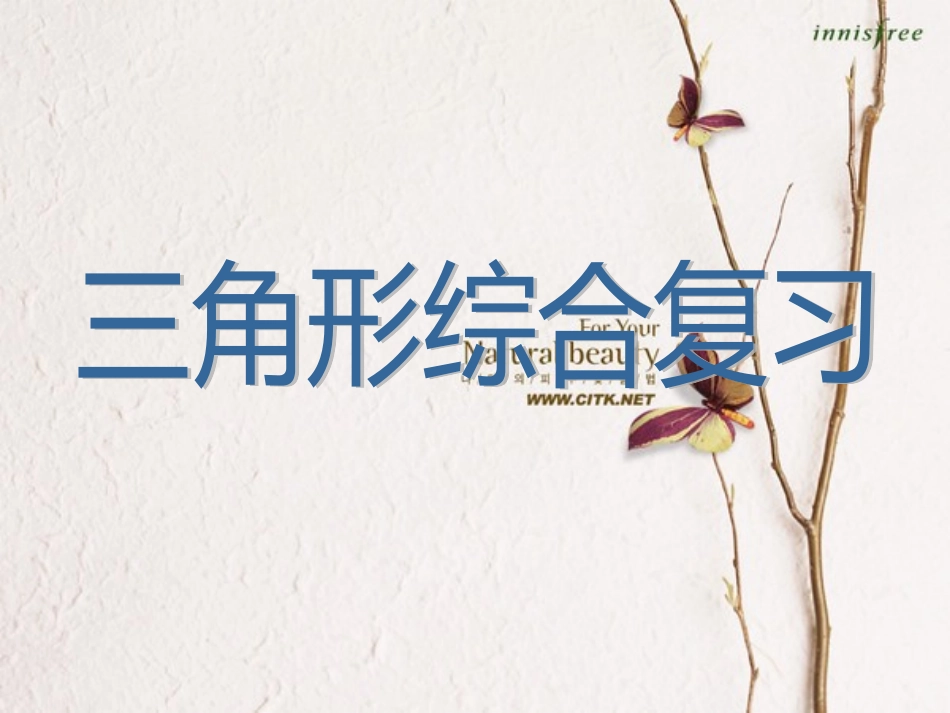 七年级下_三角形_单元总复习_第1页