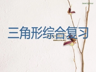 七年级下_三角形_单元总复习