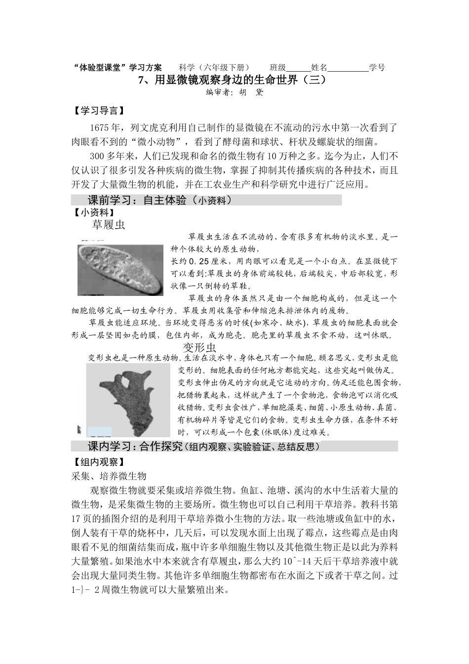 在用显微镜观察身边的生命世界（三）_第1页
