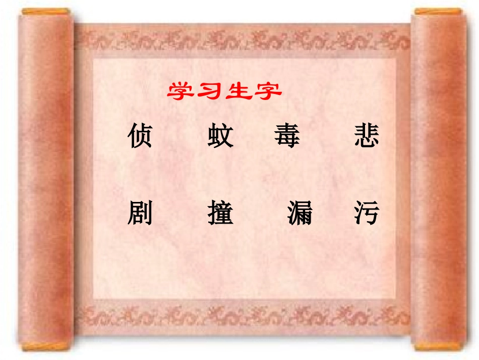 （语文S版）三年级语文下册课件鸟儿的侦察报告1_第3页