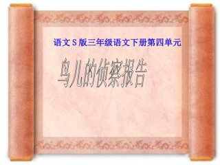 （语文S版）三年级语文下册课件鸟儿的侦察报告1