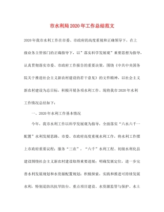 市水利局年工作总结范文