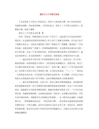 新员工三个月转正总结