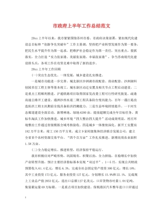 市政府上半年工作总结范文