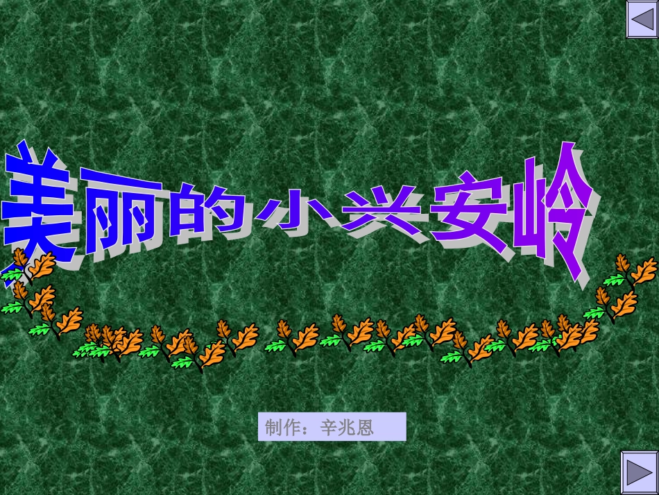 美丽的小兴安岭 (3)_第1页