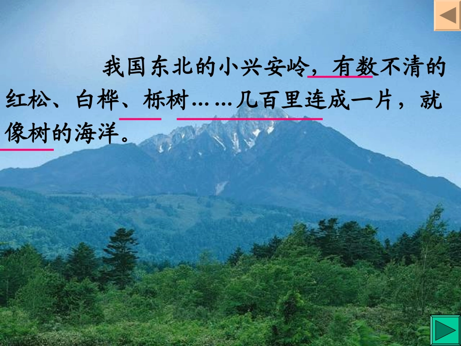 美丽的小兴安岭 (3)_第2页