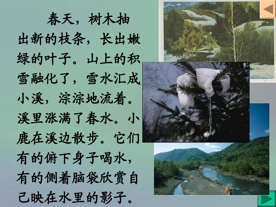 美丽的小兴安岭 (3)_第3页