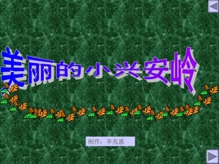 美丽的小兴安岭 (3)