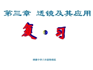 物理：透镜及其应用复习课件（人教版八年级上）