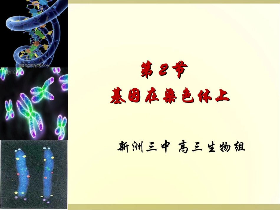《基因在染色体上》(1)_第1页